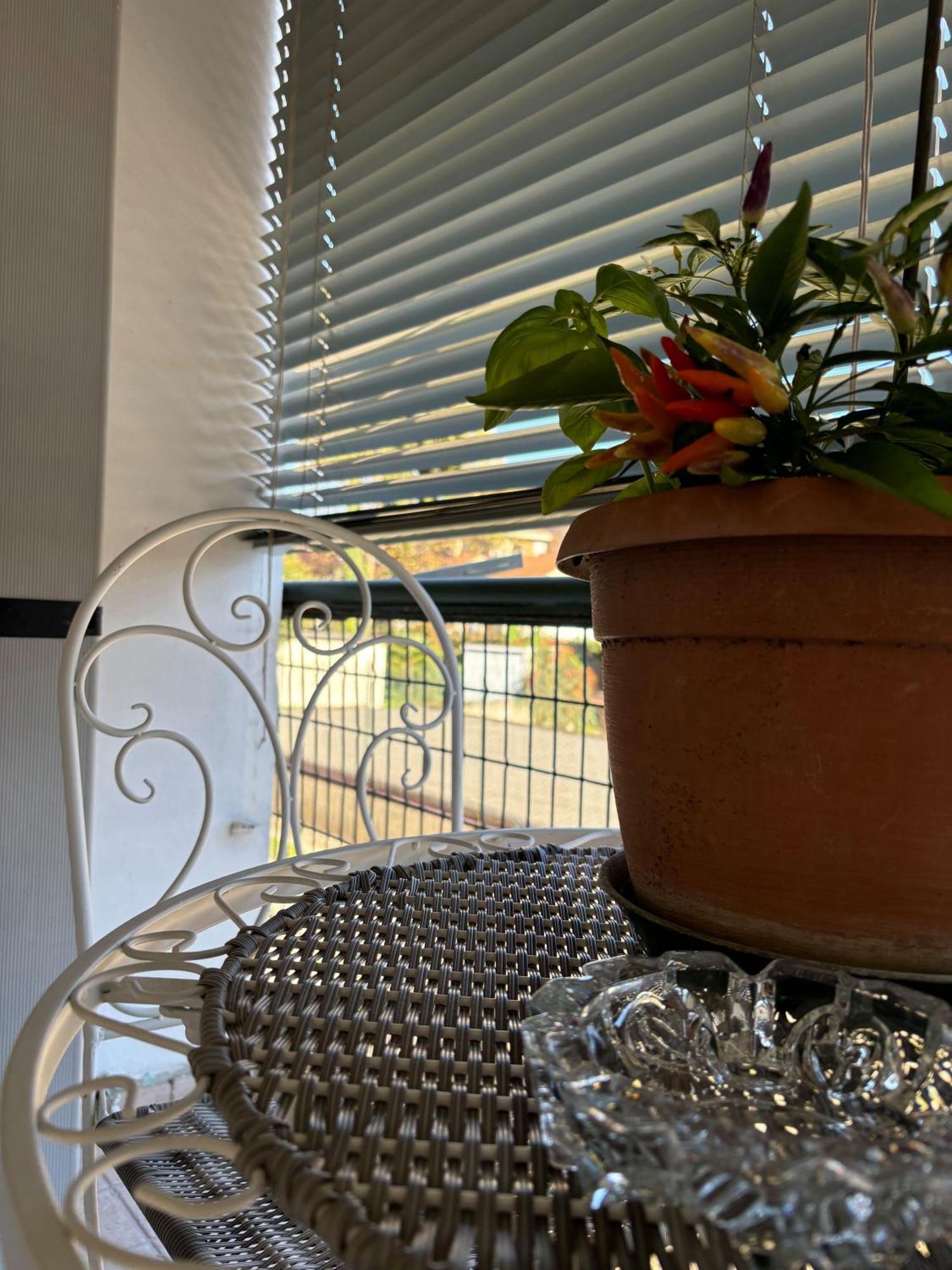 B&B Stella Somma Lombardo Exterior photo